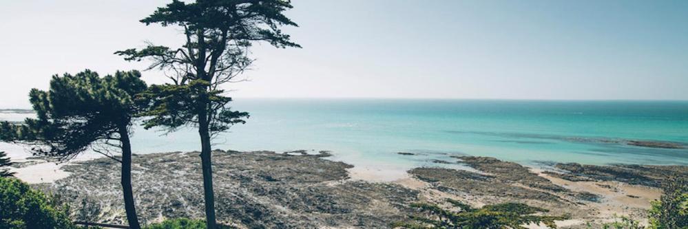Les Iles Vue Sur Mer Agon-Coutainville Exteriér fotografie